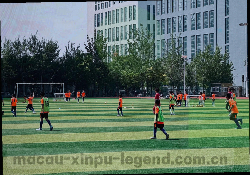 团队四组职能人数占比的环形分区示意，纯图形无文字